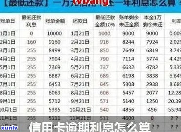 信用卡1000逾期一个月利息计算：合适费用与逾期一年还款