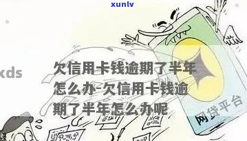 欠信用卡钱逾期半年怎么办