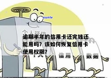 逾期半年还款后，信用卡状态恢复的完整流程与注意事项