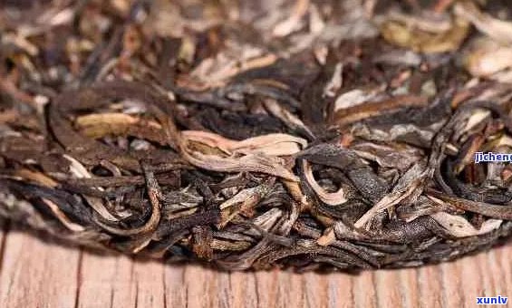 普洱生茶品种全面解析：斗记茶叶中的各种类别和特点