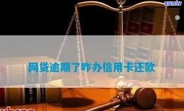 网贷逾期可以用信用卡还款吗？