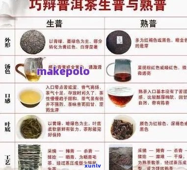 景谷茶与普洱茶的关系及档次分析：了解两者之间的差异和定位