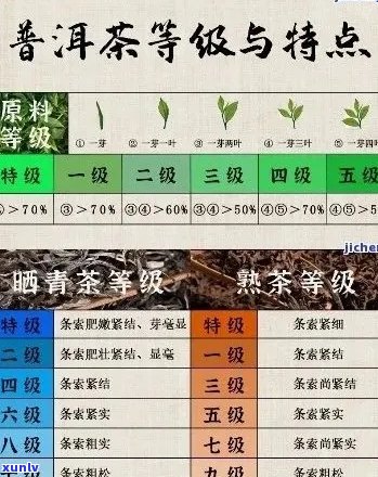 景谷茶与普洱茶的关系及档次分析：了解两者之间的差异和定位