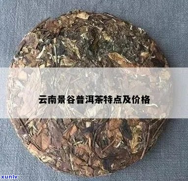 景谷一号普洱茶价位