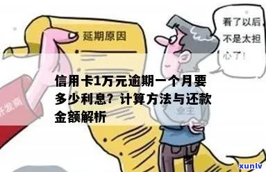 信用卡逾期利息怎么算：1万元逾期一天利息、欠款罚息利率等全解析