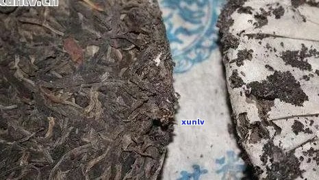 普洱茶饼会生虫子吗？为什么？普洱茶饼生虫还能喝吗？如果有虫怎么办？