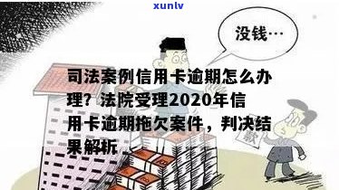 2020年信用卡逾期拖欠案件受理情况全解析：法院如何处理、相关政策及影响