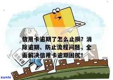 信用卡逾期对我造成困扰，应该如何解决？