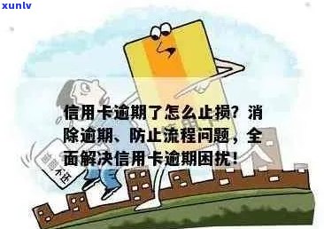 信用卡逾期对我造成困扰，应该如何解决？