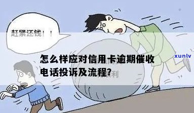 信用卡逾期要投诉我该怎么办：应对 *** ，避免上门，处理投诉流程。