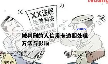 信用卡逾期报案全攻略：如何处理、报案流程及可能的法律后果详解