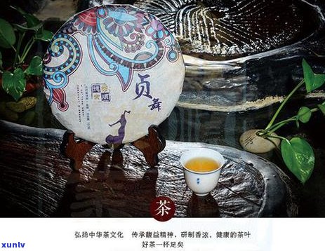 受潮的普洱茶能喝吗？会坏吗？如何处理受潮普洱茶？