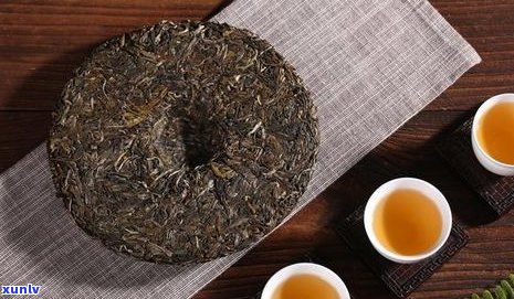 普洱茶味道是苦的嘛还是甜的好：探讨普洱茶的味道特点