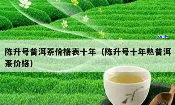 陈升号普洱茶全面行情价格分析：了解市场走势与投资价值