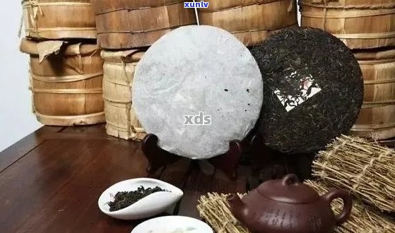 普洱茶在高存放条件下会变质吗？如何正确保存普洱茶以保持其品质？