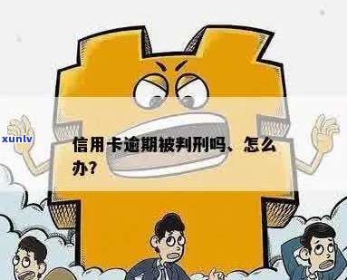 被判刑后信用卡逾期怎么办