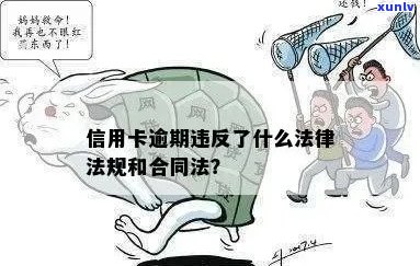 被判刑的人信用卡逾期：原因、后果及解决 *** 全面解析