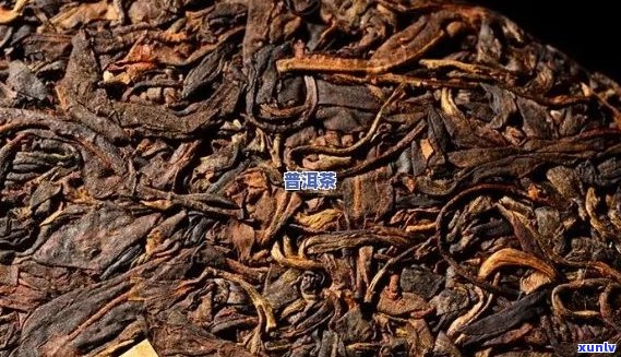 陈年老树普洱茶：品种、产地、 *** 工艺、品鉴 *** 与健益处全面解析