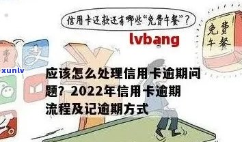 信用卡逾期话术技巧：2022年流程与协商攻略