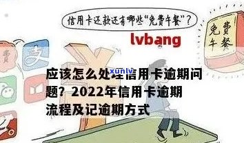 信用卡逾期话术技巧：2022年流程与协商攻略