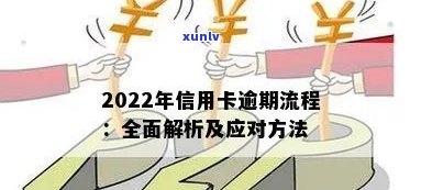 2022年信用卡逾期全面指南：如何处理、影响与解决办法，让你告别逾期困扰