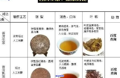 '熟普洱茶的归经与属性及主要功效：药性解析'