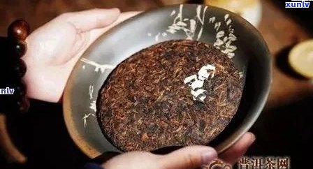 普洱茶熟茶的科学属性与品鉴技巧：深入剖析其独特风味与健益处