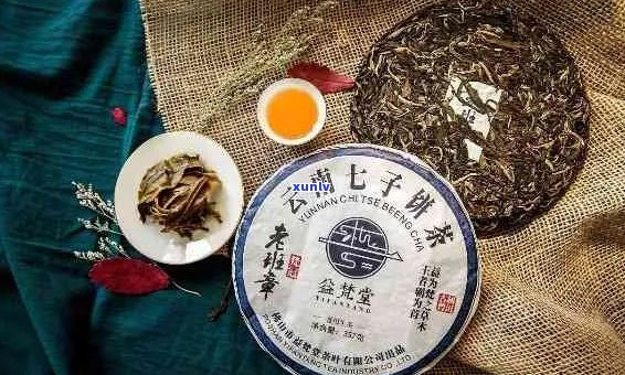 冬天和普洱茶可以吗