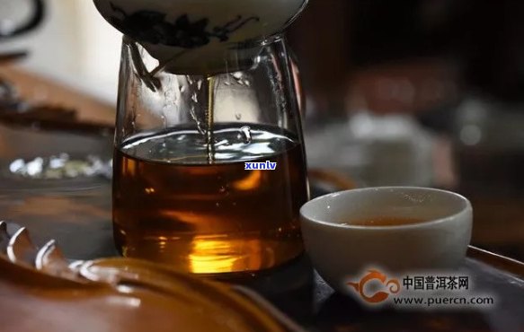 普洱茶推荐：哪些是品质与声誉的代表？