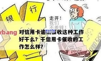 信用卡逾期可能对我的职业前景造成什么影响？