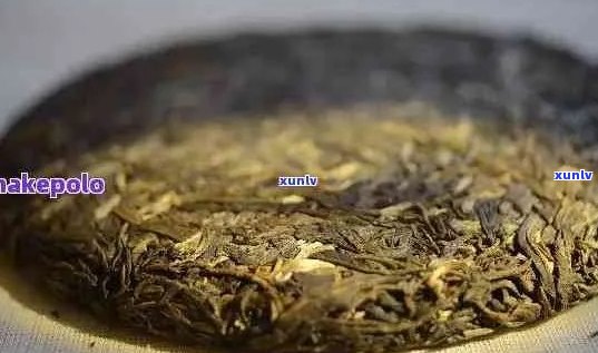 小菊普洱茶：一种独特的发酵茶