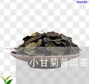 小菊普洱茶祛湿吗