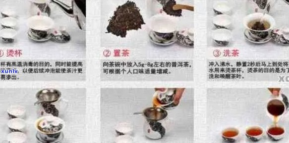 普洱茶冲泡的艺术：步骤、技巧和你的专属配方