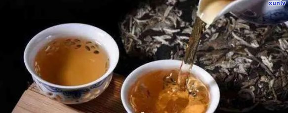 普洱茶需要泡多久才能喝？普洱茶冲泡时间及饮用时刻解析