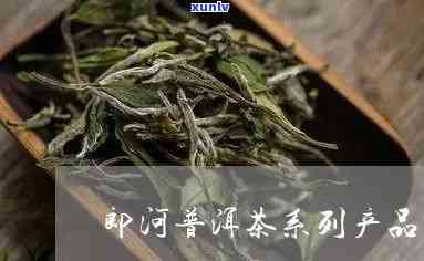 乐有郎河普洱茶吗？云南普洱茶推荐及选购指南