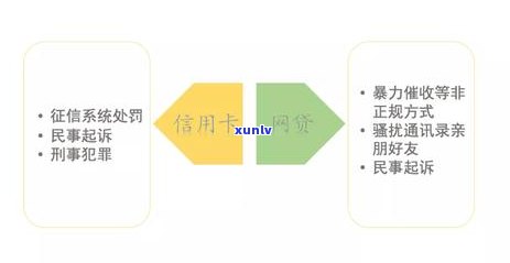 逾期风险与解决策略：网贷与信用卡的使用与还款问题