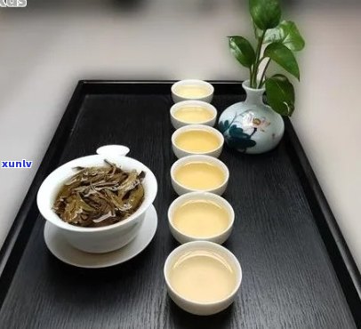 如何挑选优质普洱茶？一份全面指南教你选购和品鉴普洱茶的诀窍