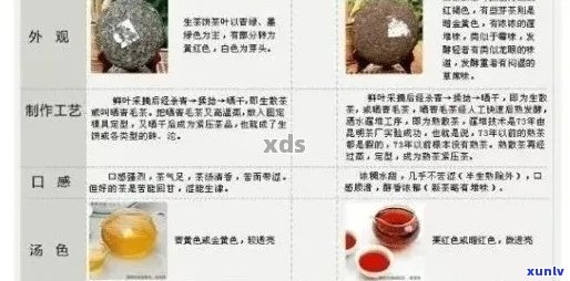 如何挑选优质普洱茶？一份全面指南教你选购和品鉴普洱茶的诀窍