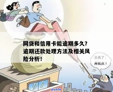 逾期风险与解决策略：网贷与信用卡的使用与还款问题