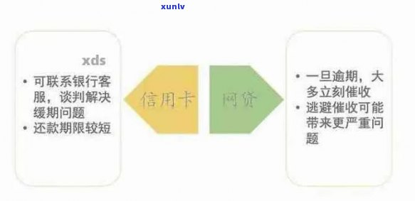 逾期风险与解决策略：网贷与信用卡的使用与还款问题