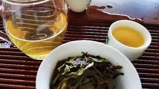 什么普洱茶好喝还便宜：高性价比的口粮茶推荐