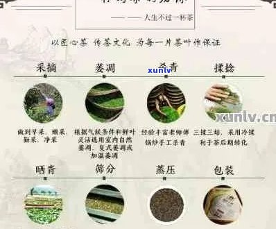 寻找性价比高的普洱茶：专家推荐的优质茶叶品种与购买指南