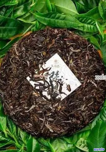 寻找性价比高的普洱茶：专家推荐的优质茶叶品种与购买指南