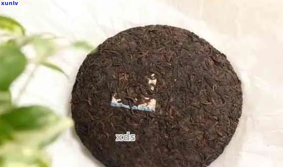 熟普洱茶用不用密封