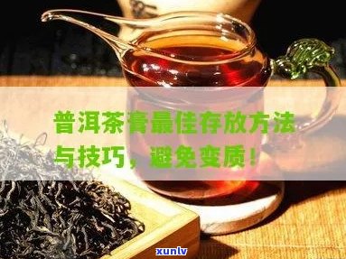 新普洱茶膏保质期长策略及其适宜存时间探讨