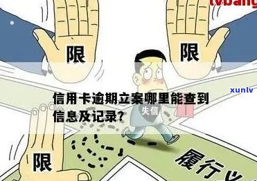 新信用卡逾期立案号查询攻略：如何辨别真伪与避免陷阱？