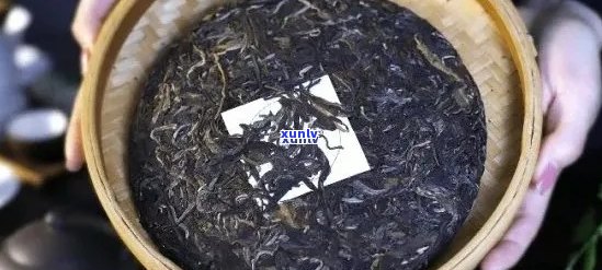 普洱茶膏的保存期有多长？ - 这个标题包含了你提供的所有问题