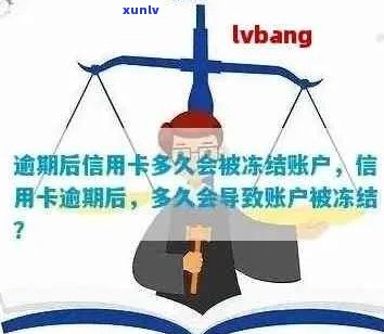 信用卡逾期被冻结：解决方案和应对策略