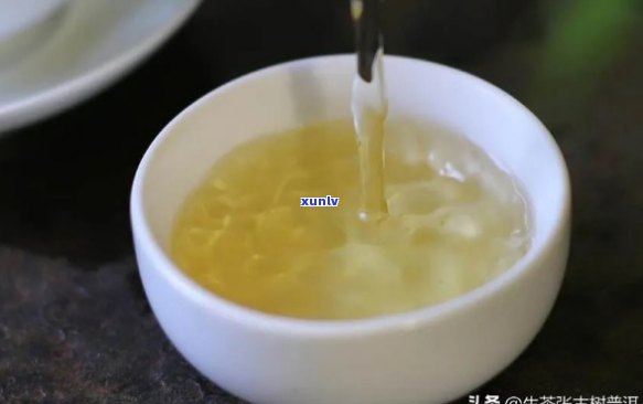 探索普洱茶的香气、味道和口感：揭示其独特的层次感