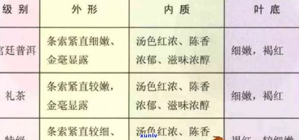 从外观、香气到口感：全面指南如何区分普洱茶的等级，了解普洱茶的各种特性